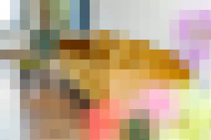 Dorpsstraat 15 Zoelmond thumbnail 13