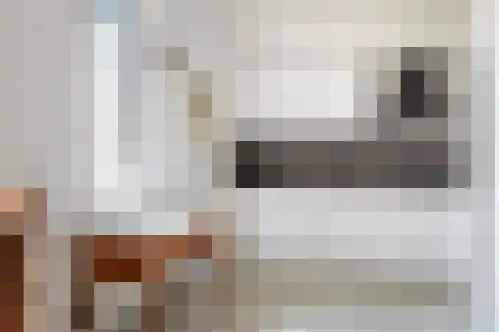 Dorpsstraat 15 Zoelmond thumbnail 18