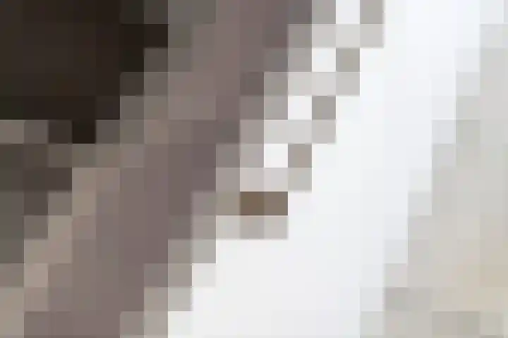 Dorpsstraat 15 Zoelmond thumbnail 20