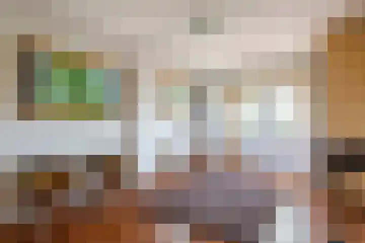 Dorpsstraat 15 Zoelmond thumbnail 26
