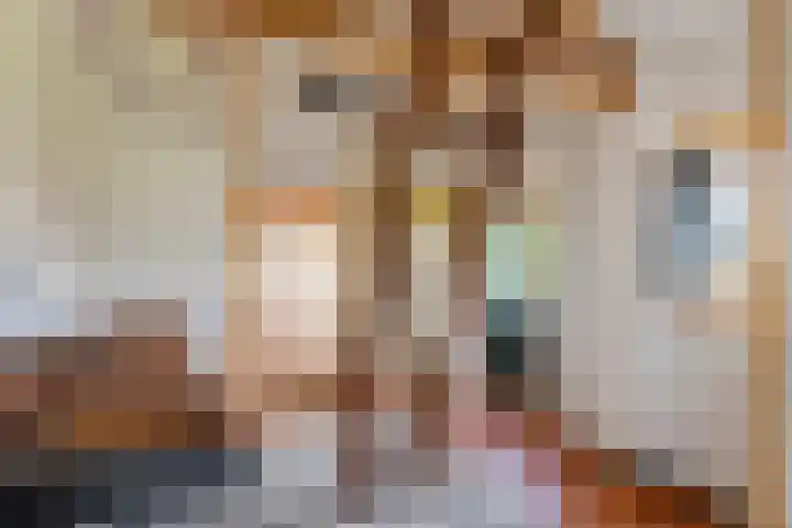 Dorpsstraat 15 Zoelmond thumbnail 29
