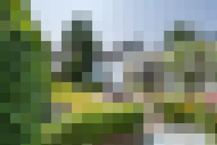 Dorpsstraat 15 Zoelmond thumbnail 32