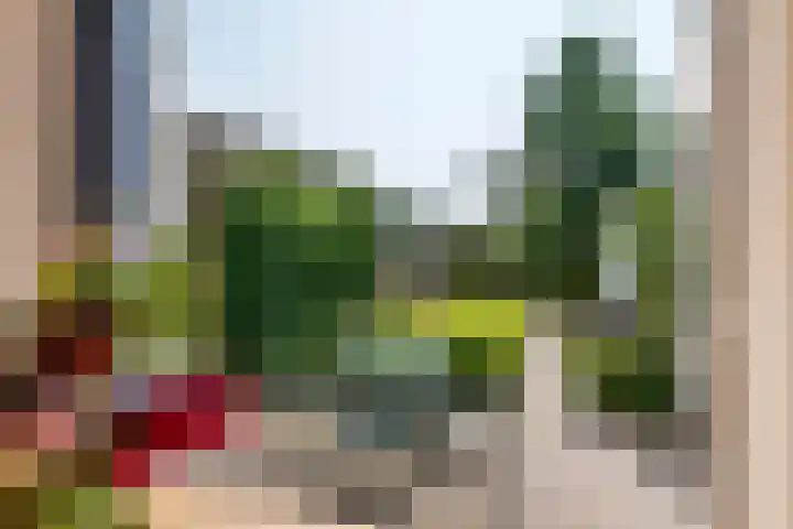 Dorpsstraat 15 Zoelmond thumbnail 33