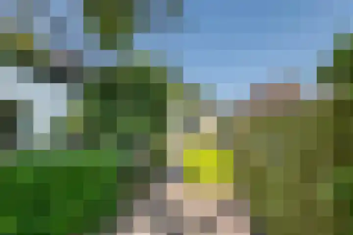 Dorpsstraat 15 Zoelmond thumbnail 34