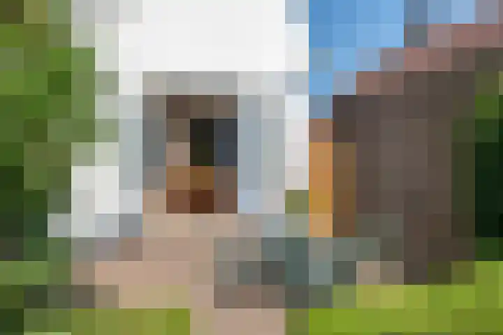 Dorpsstraat 15 Zoelmond thumbnail 37