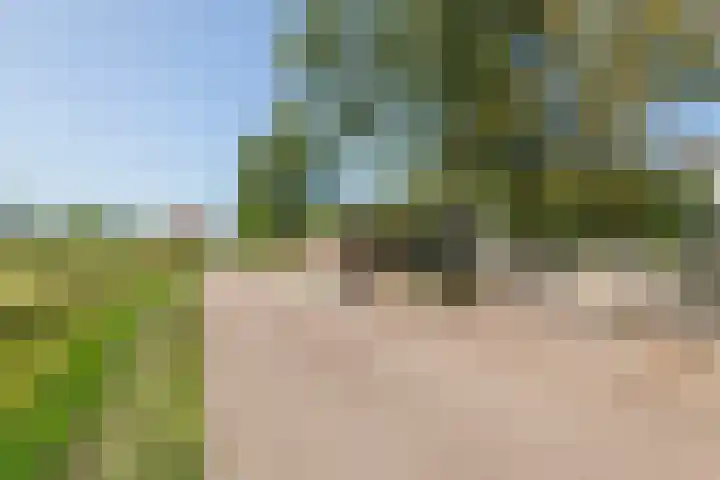 Dorpsstraat 15 Zoelmond thumbnail 39
