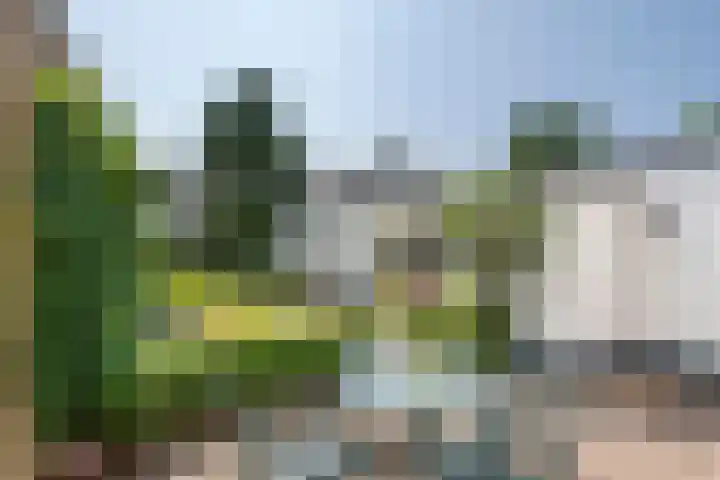 Dorpsstraat 15 Zoelmond thumbnail 4