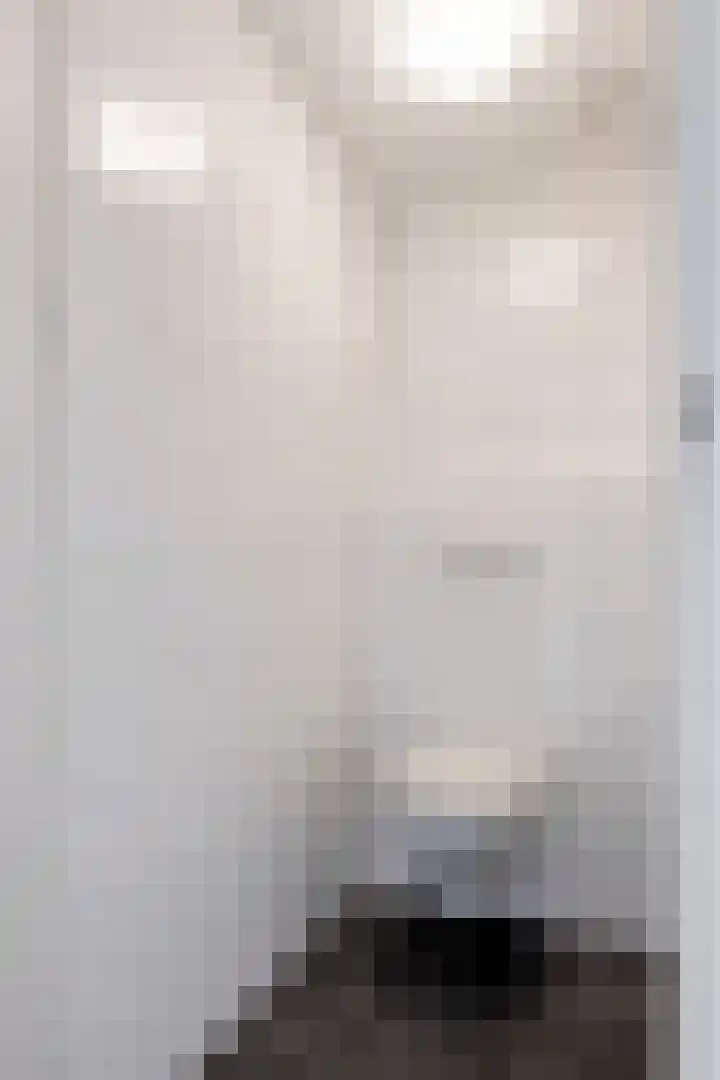 Dorpsstraat 15 Zoelmond thumbnail 45