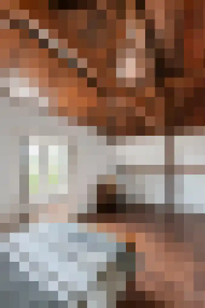 Dorpsstraat 15 Zoelmond thumbnail 51