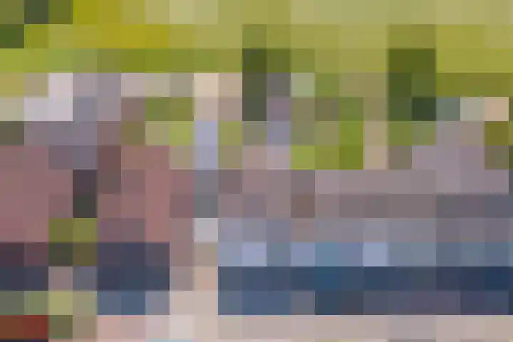 Dorpsstraat 15 Zoelmond thumbnail 69
