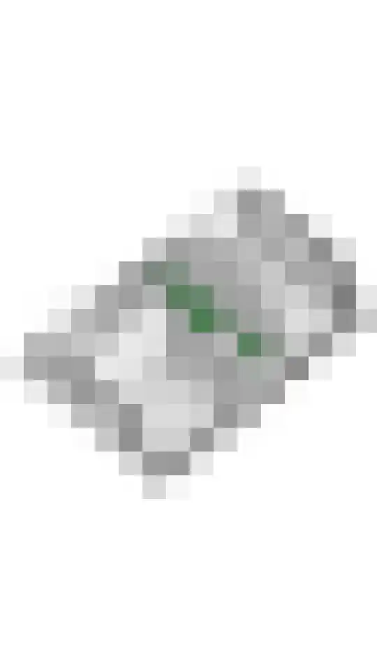 Dorpsstraat 15 Zoelmond thumbnail 77