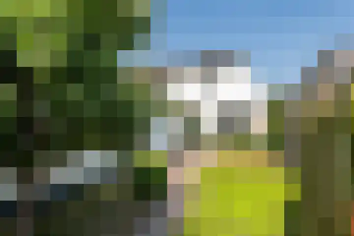 Dorpsstraat 15 Zoelmond thumbnail 80