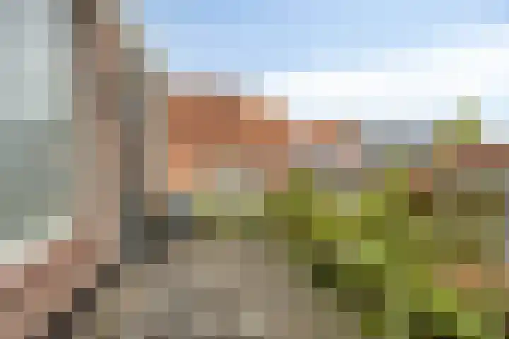 Dorpsstraat 15 Zuidland thumbnail 19