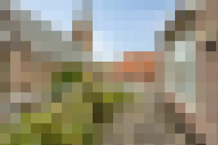Dorpsstraat 15 Zuidland thumbnail 20