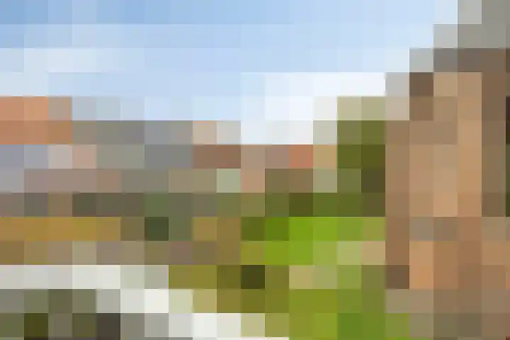 Dorpsstraat 15 Zuidland thumbnail 22