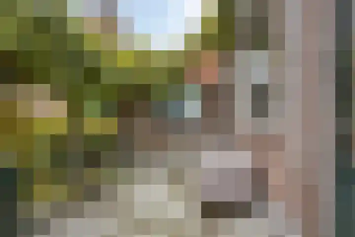 Dorpsstraat 15 Zuidland thumbnail 26