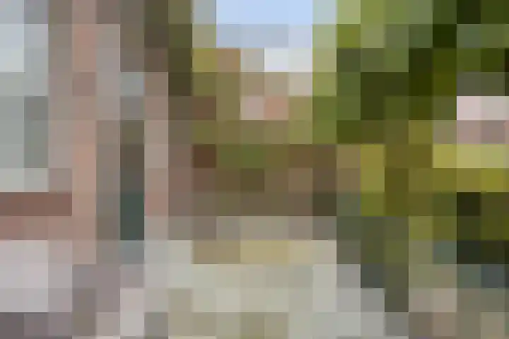 Dorpsstraat 15 Zuidland thumbnail 27