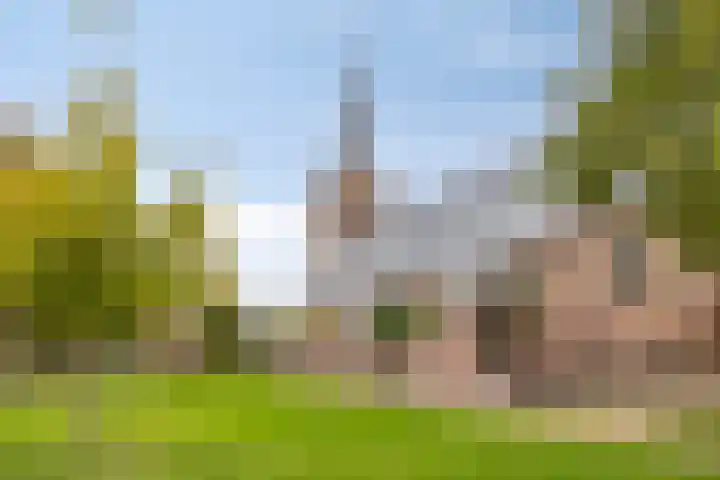 Dorpsstraat 15 Zuidland thumbnail 30