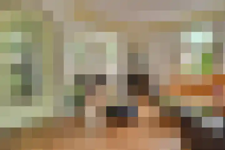Dorpsstraat 152 Mierlo thumbnail 22
