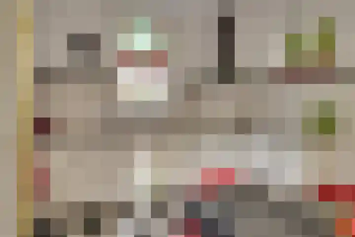 Dorpsstraat 152 Mierlo thumbnail 32