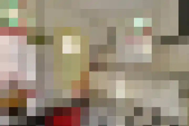 Dorpsstraat 152 Mierlo thumbnail 34