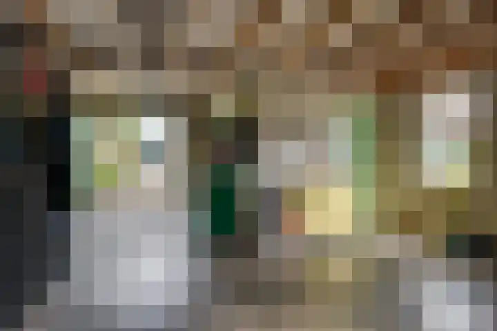 Dorpsstraat 152 Mierlo thumbnail 37