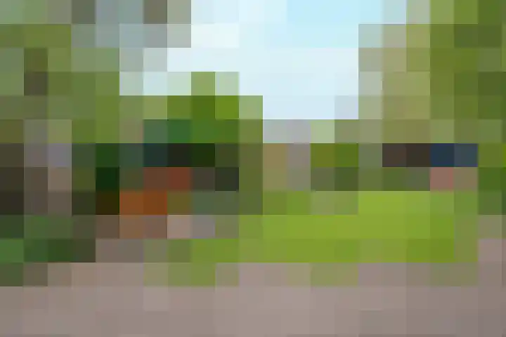 Dorpsstraat 152 Mierlo thumbnail 57