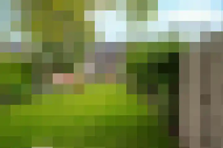 Dorpsstraat 152 Mierlo thumbnail 63