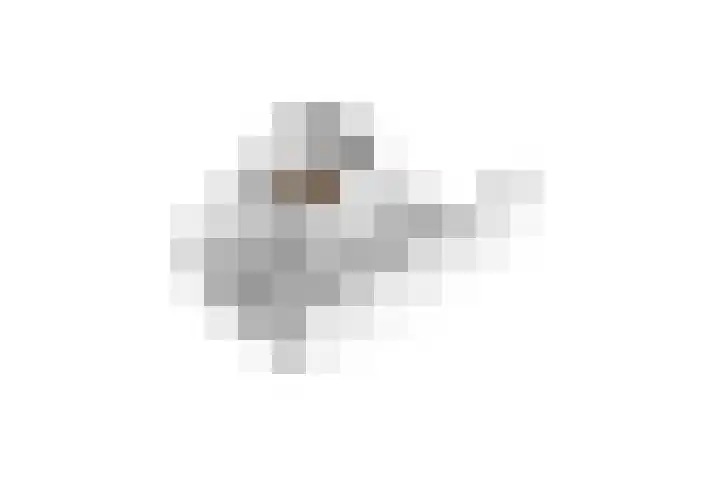 Dorpsstraat 152 Mierlo thumbnail 66