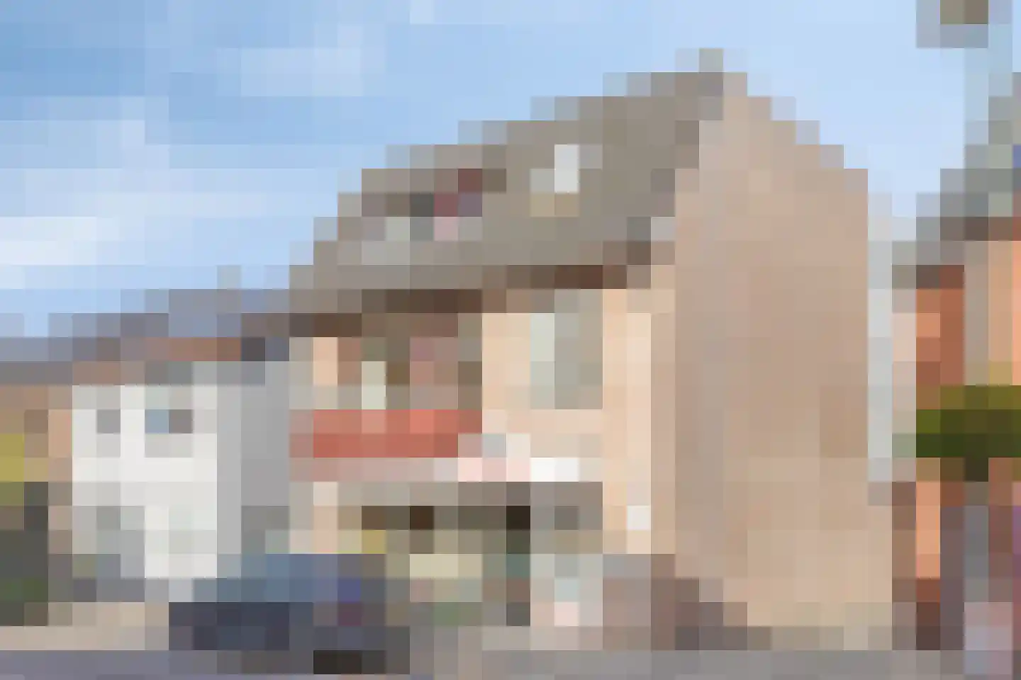 Dorpsstraat 153 a Scherpenzeel thumbnail 8