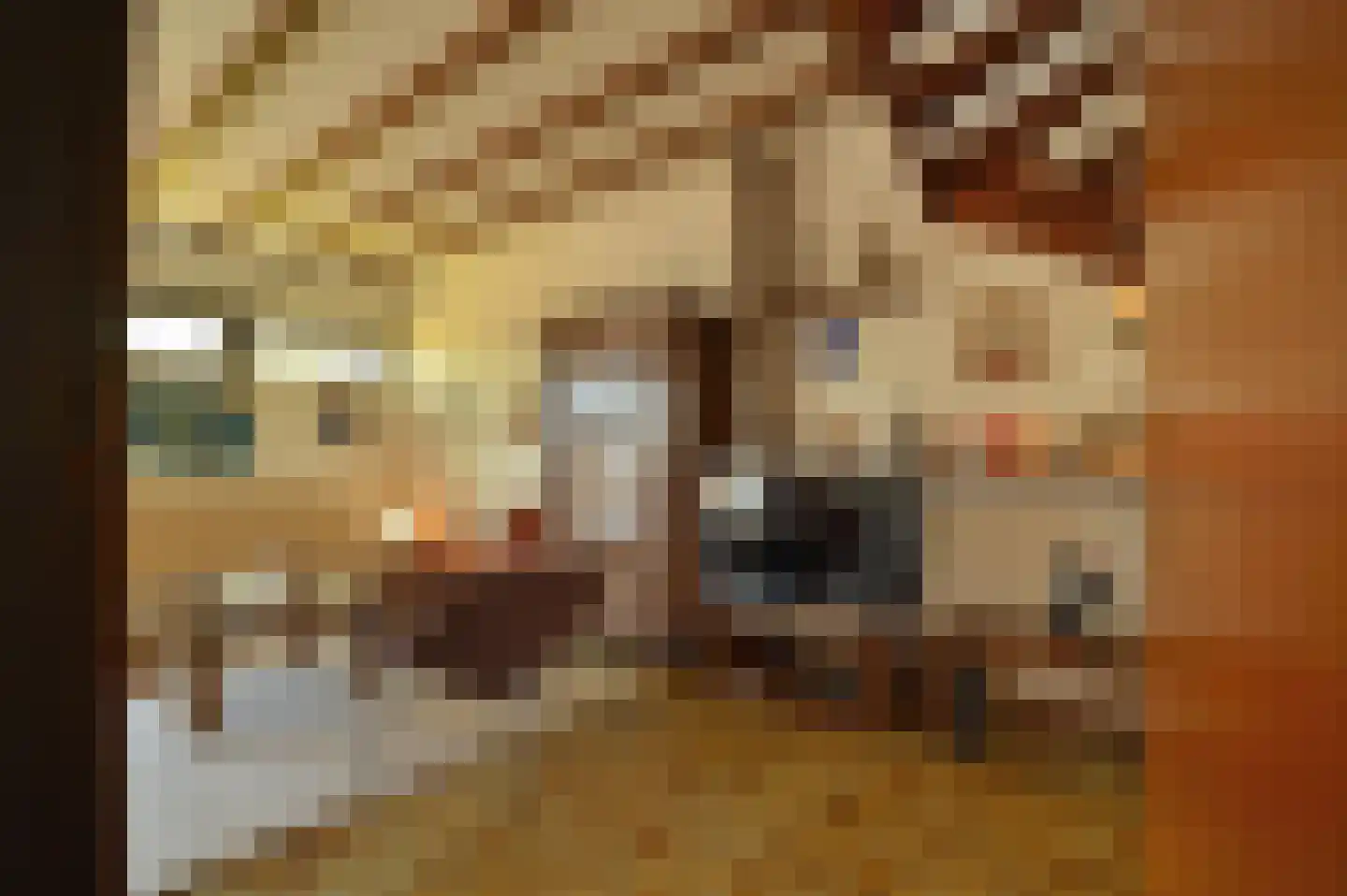Dorpsstraat 157 Bingelrade thumbnail 13