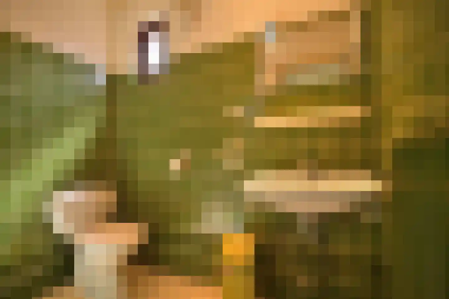 Dorpsstraat 157 Bingelrade thumbnail 52