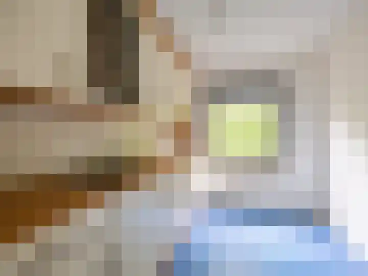 Dorpsstraat 157 III Renkum thumbnail 13