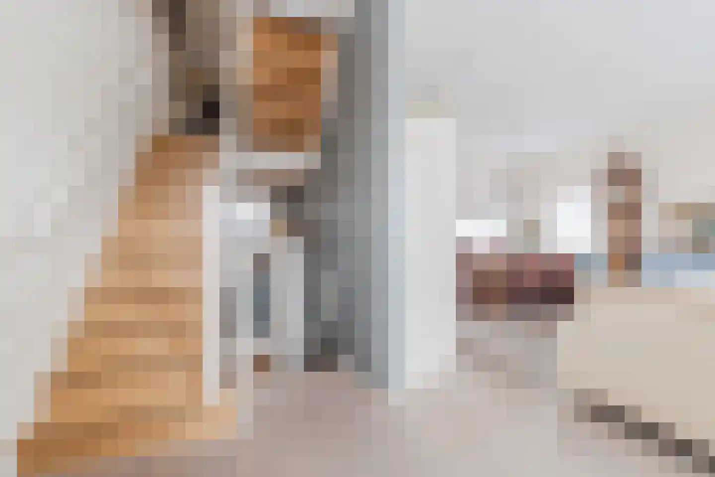 Dorpsstraat 158 Harmelen thumbnail 8