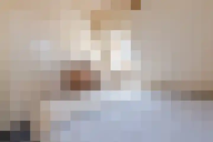 Dorpsstraat 159 Assendelft thumbnail 33