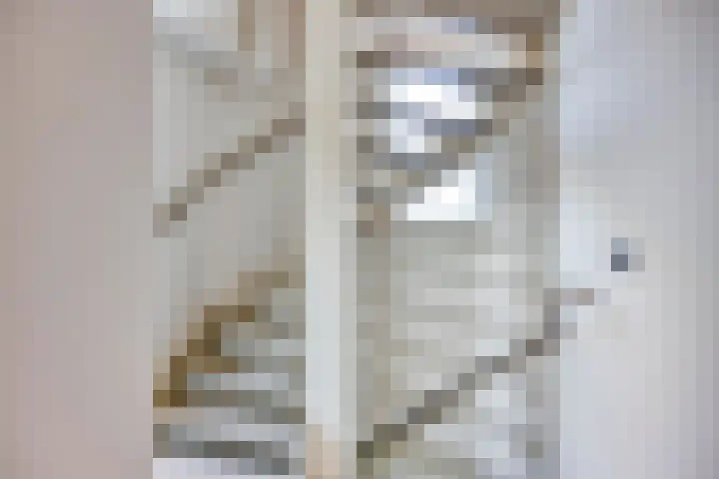Dorpsstraat 16 a Bakel thumbnail 27
