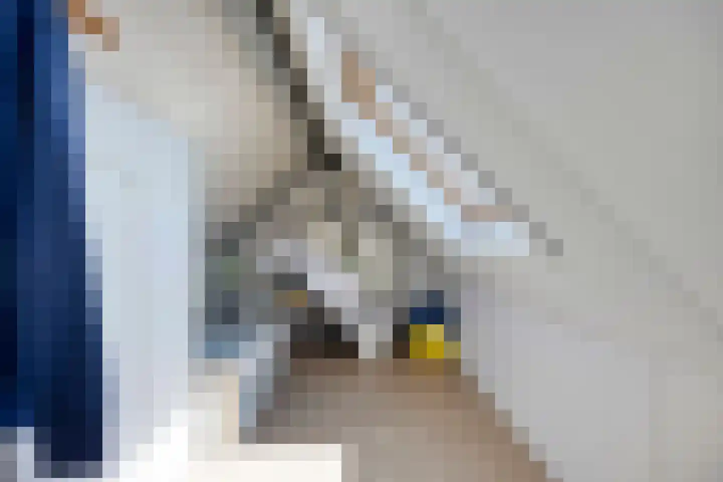 Dorpsstraat 16 a Bakel thumbnail 44