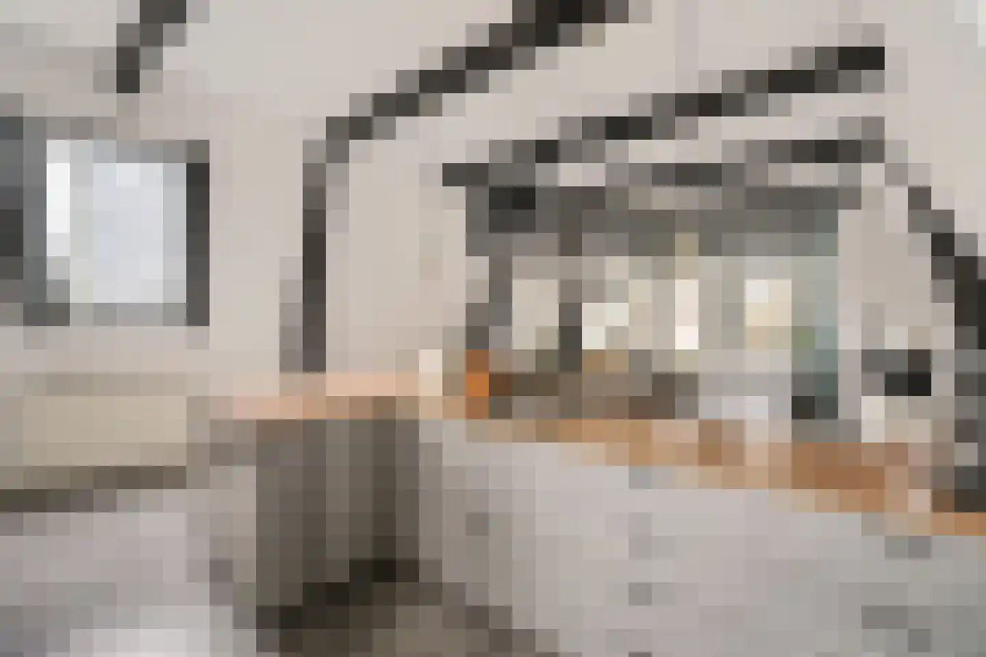 Dorpsstraat 16 A Boskoop thumbnail 12
