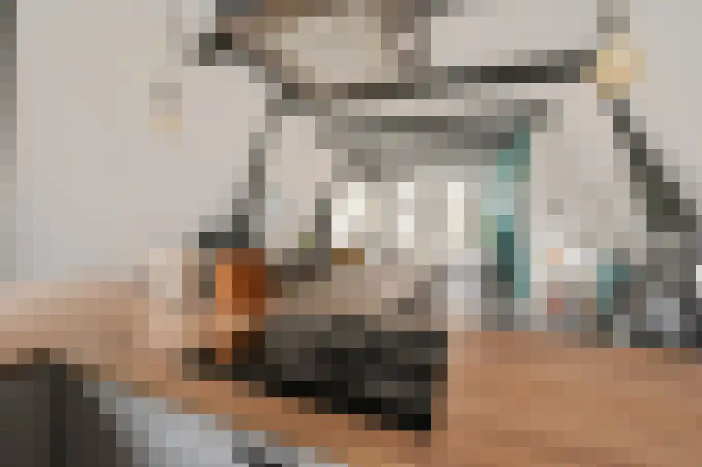 Dorpsstraat 16 A Boskoop thumbnail 14