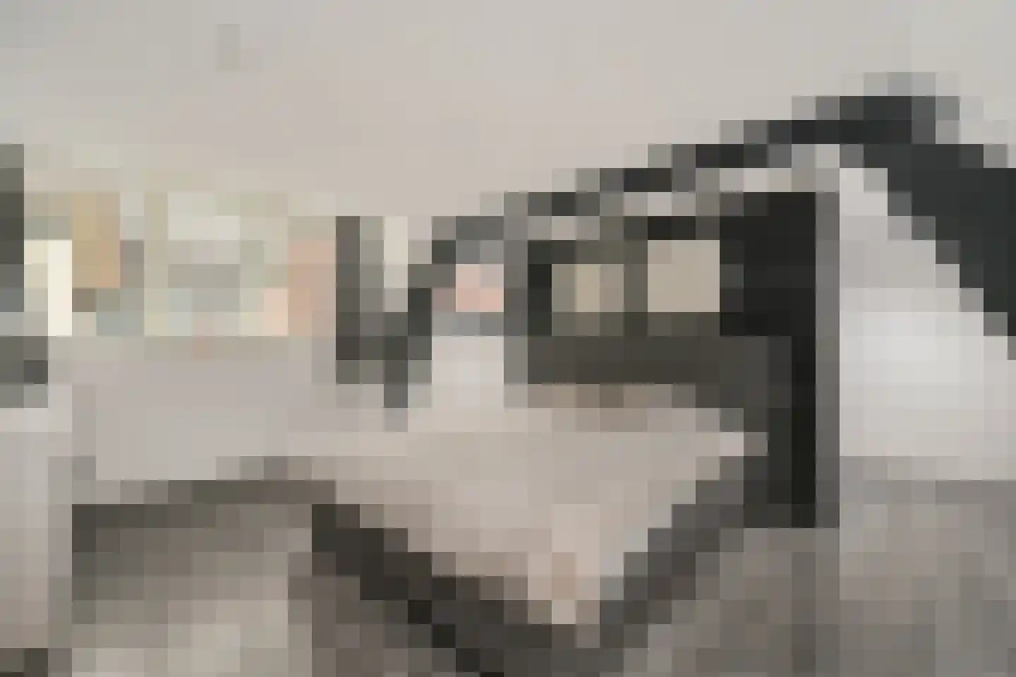 Dorpsstraat 16 A Boskoop thumbnail 19