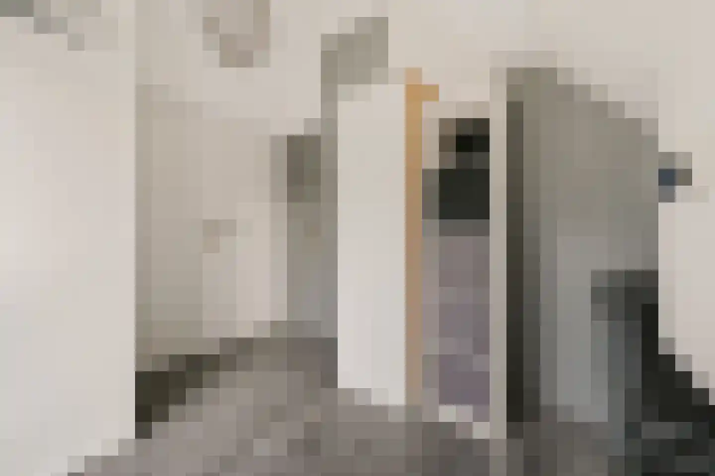 Dorpsstraat 16 A Boskoop thumbnail 25