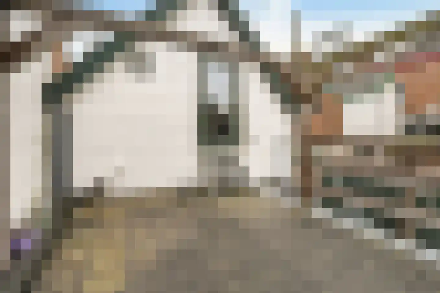 Dorpsstraat 16 A Boskoop thumbnail 27