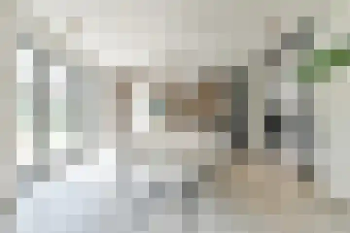 Dorpsstraat 16 Blaricum thumbnail 10