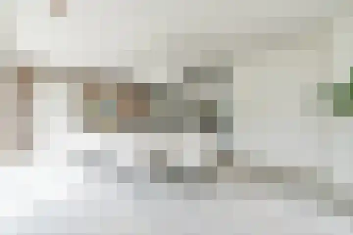 Dorpsstraat 16 Blaricum thumbnail 11