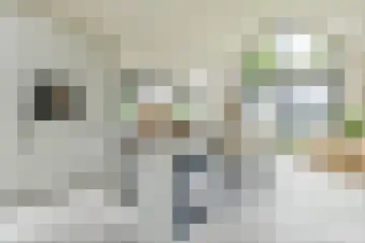 Dorpsstraat 16 Blaricum thumbnail 13
