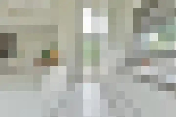 Dorpsstraat 16 Blaricum thumbnail 17
