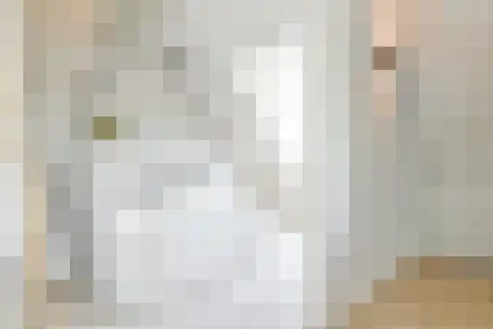 Dorpsstraat 16 Blaricum thumbnail 24