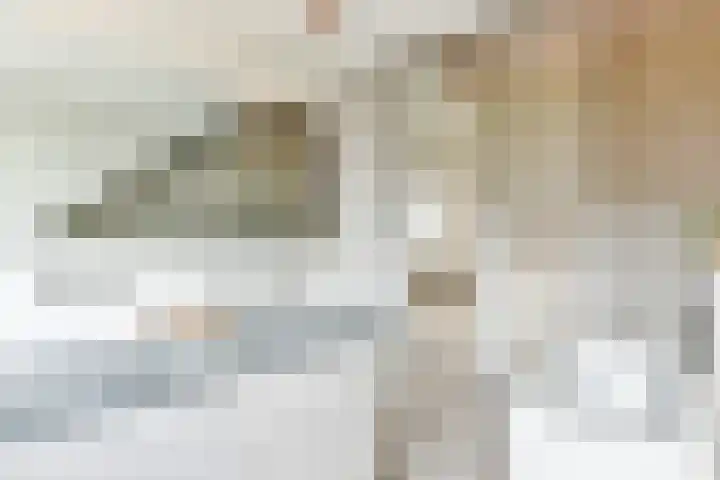 Dorpsstraat 16 Blaricum thumbnail 26