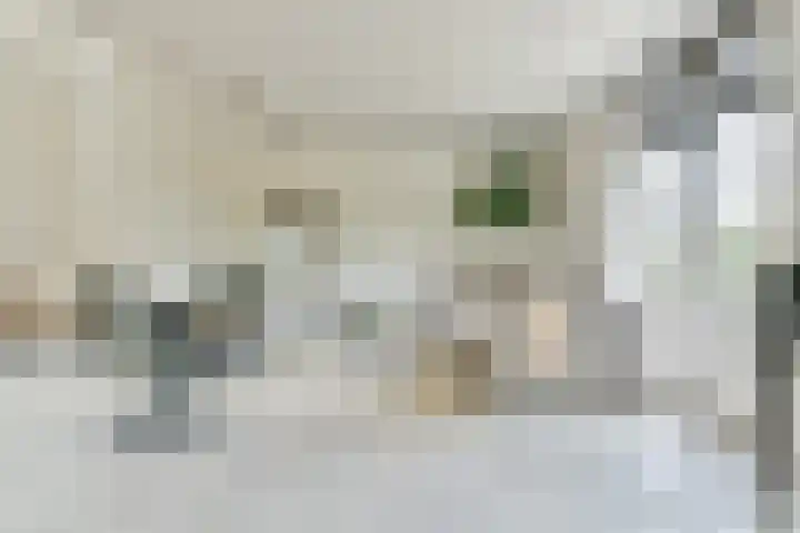 Dorpsstraat 16 Blaricum thumbnail 5