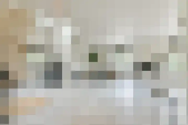 Dorpsstraat 16 Blaricum thumbnail 6